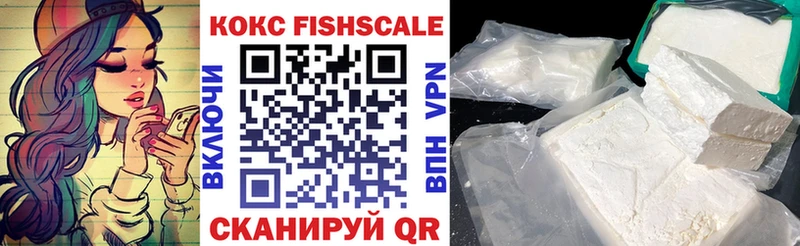 Кокаин Fish Scale  Купить где  Красновишерск 