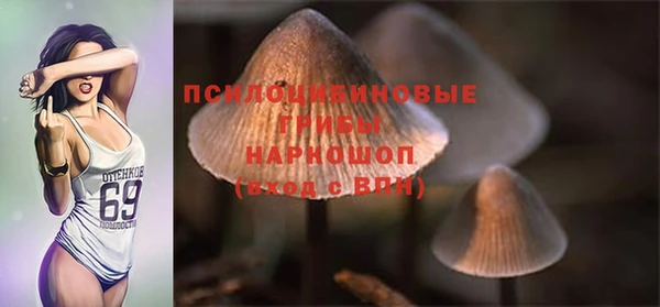 дмт Вяземский